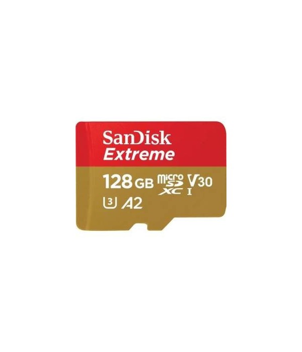 SanDisk MicroSD 128GB...